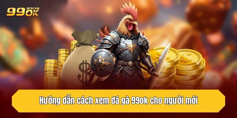 Hướng dẫn cách xem đá gà 99OK cho người mới