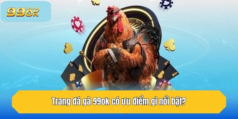 Trang đá gà 99OK có ưu điểm gì nổi bật?